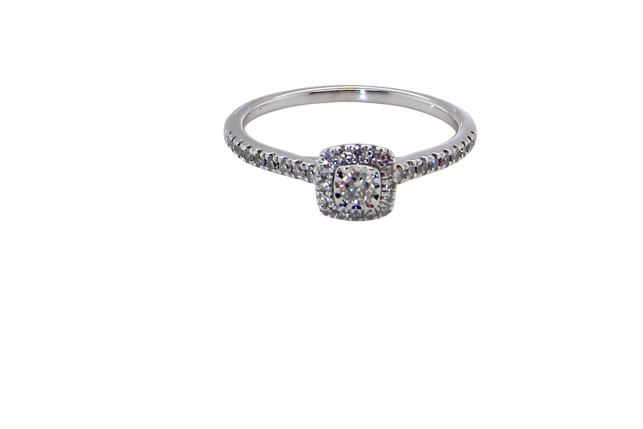 A 9 carat white gold Diamond halo ring