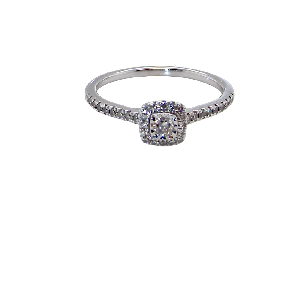 A 9 carat white gold Diamond halo ring