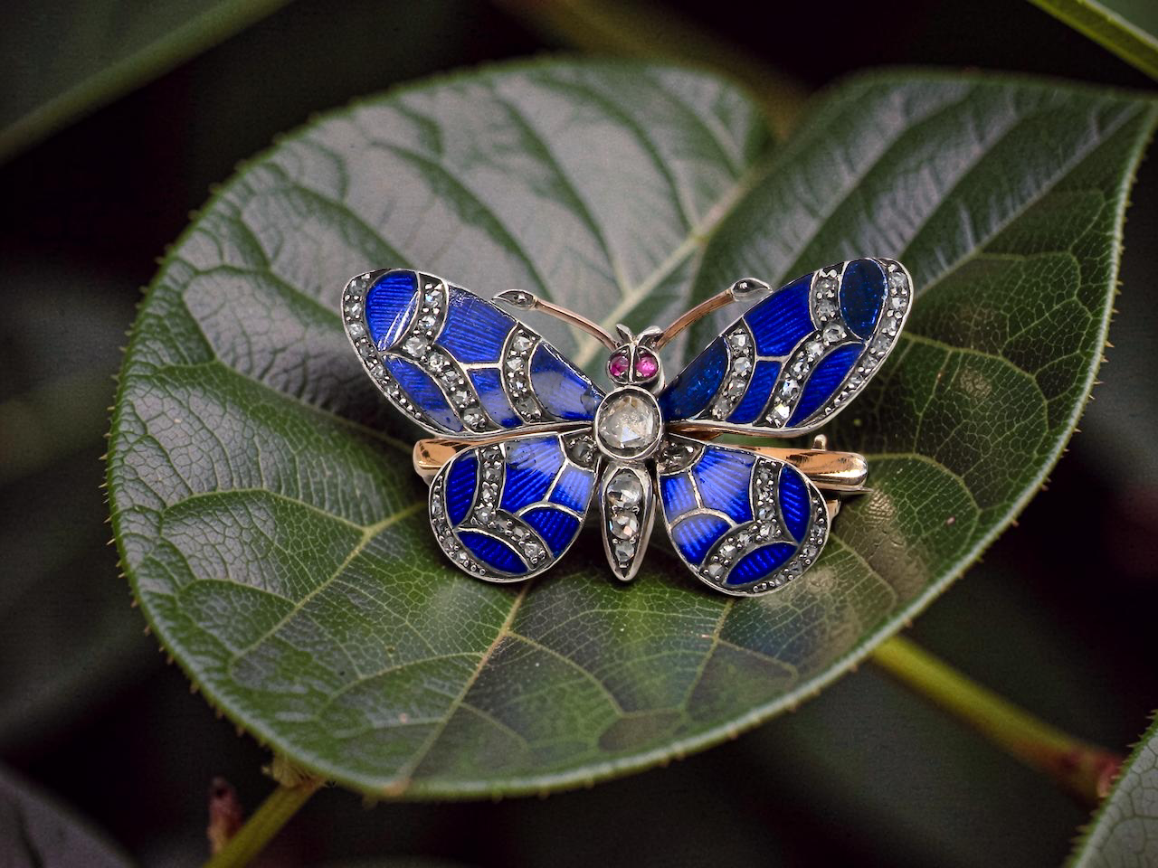 on a leaf- A beautiful brooch, late Victorian in the shape of a butterfly.