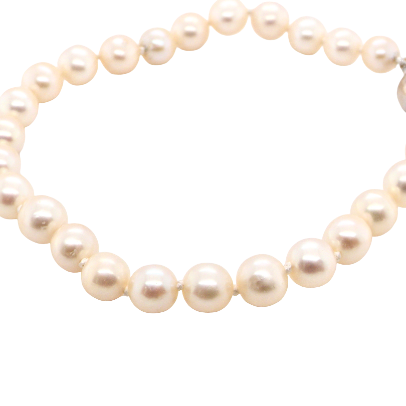 A cultured pearl bracelet. High quality pearls, each 6.5mm, blister free, pink cream colour.