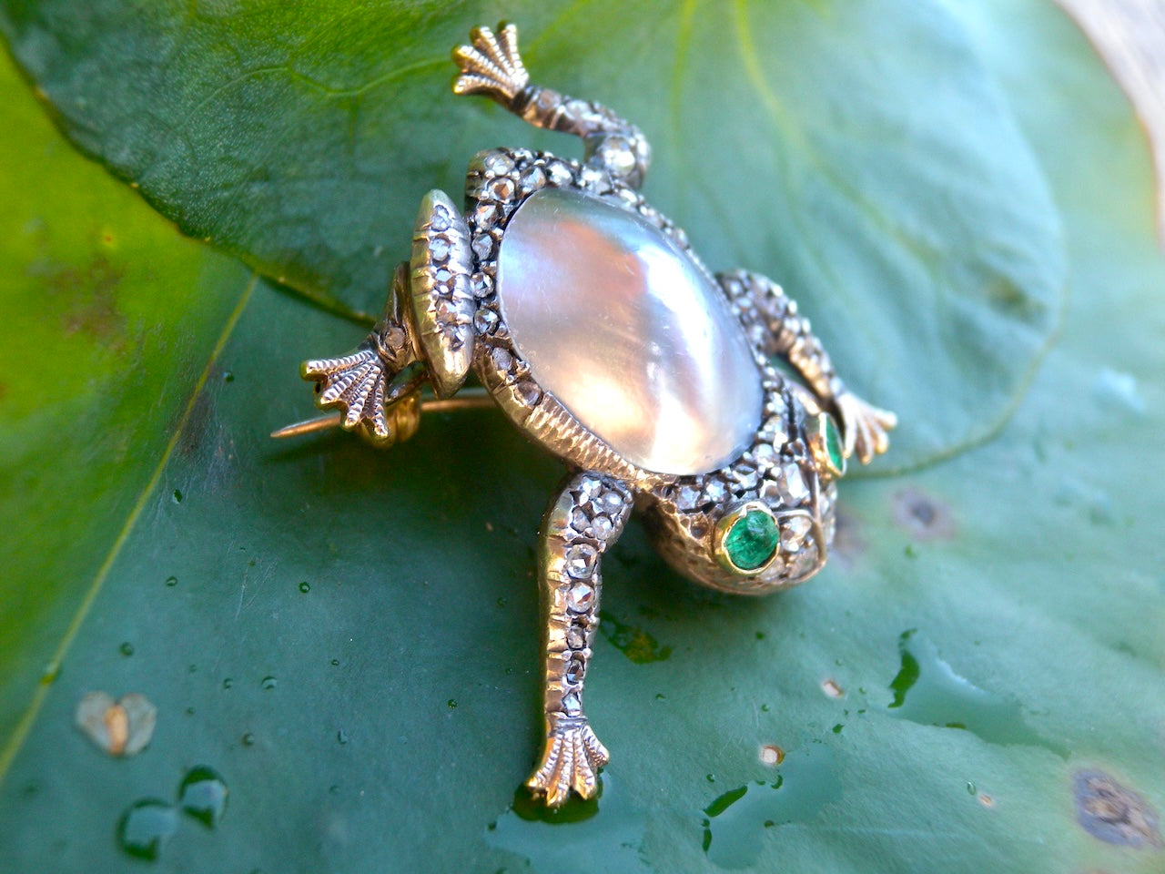 A Collectable antique Frog Brooch