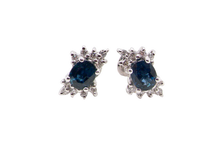 A pair of Sapphire and Diamond earrings