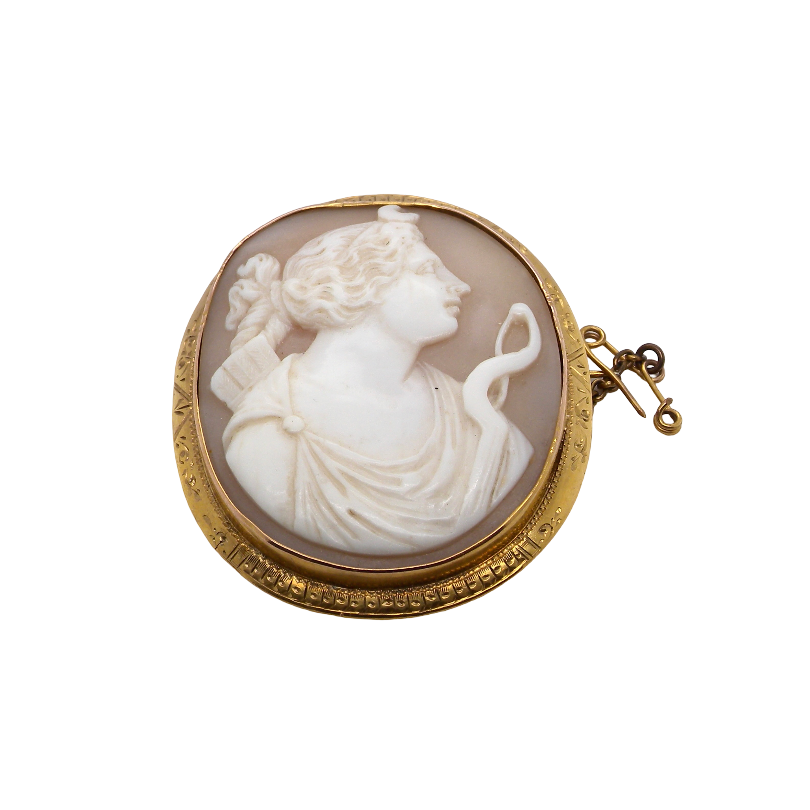 An antique oval gold brooch featuring a carved white and beige shell cameo of a classical female profile holding a snake, with a gold clasp closure, shown on a plain white background.