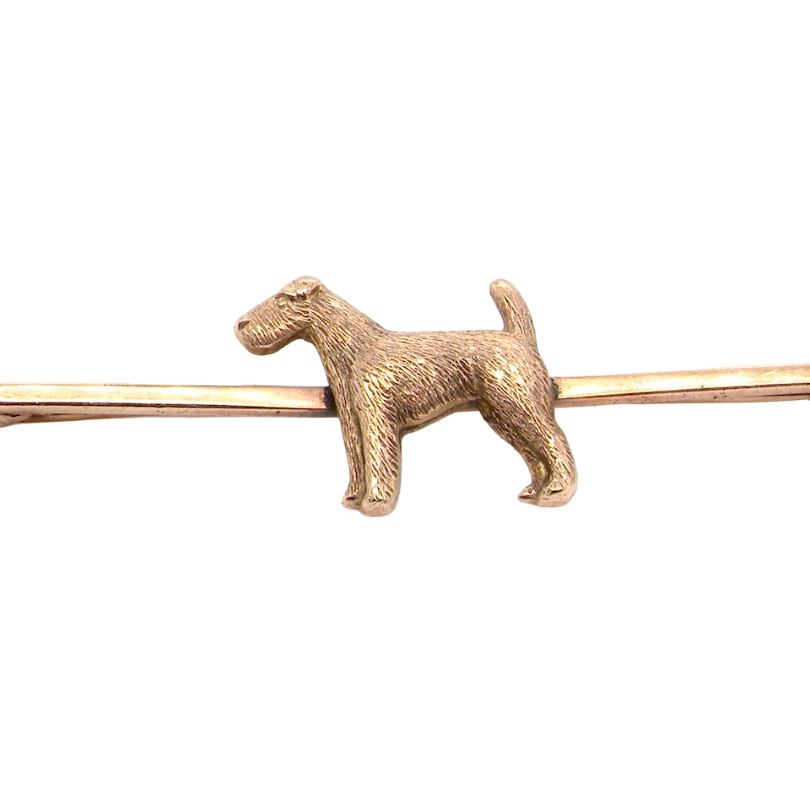 A vintage early 20th century bar brooch. The shape of a dog, possibly an Airdale terrier as the box it is fitted to originates from Falkirk- Scotland