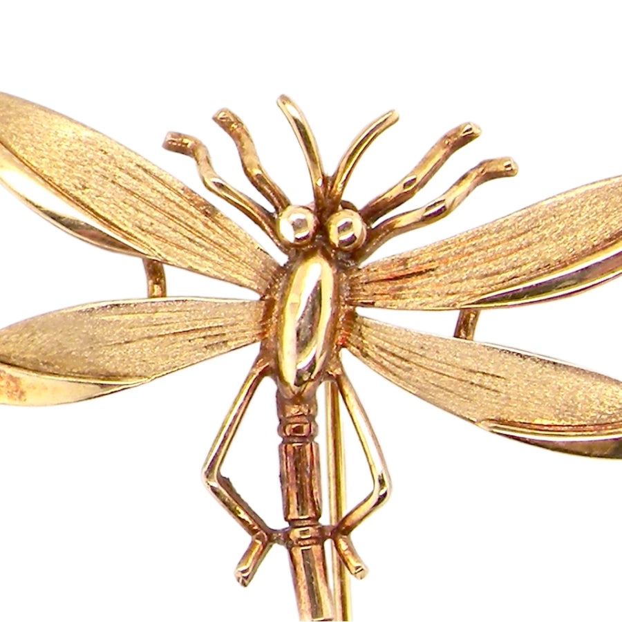 dragonfly brooch