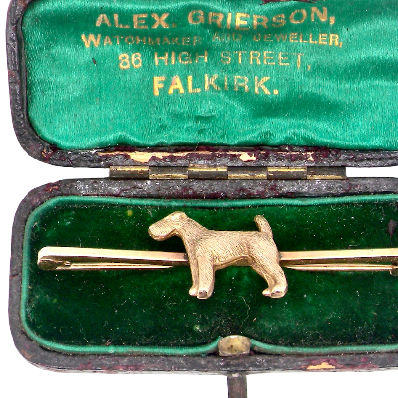 boxed A vintage early 20th century bar brooch. The shape of a dog, possibly an Airdale terrier as the box it is fitted to originates from Falkirk- Scotland