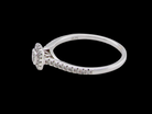 A 9 carat white gold Diamond halo ring