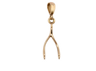 A 9 carat gold pendant (or charm) in the shape of a wishbone.

Overall size 25x10mm, weight 3.1 grams.&nbsp;
