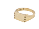 A gentleman's 9 carat gold signet ring. Rectangular shaped head, plain polished surface 