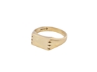 Rectangular plain signet ring