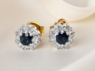 A pair of Sapphire and Diamond earrings