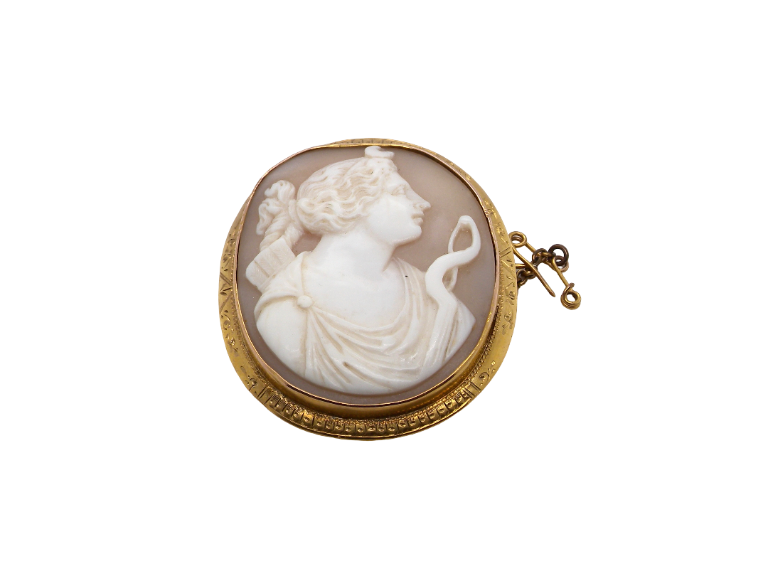 An antique oval gold brooch featuring a carved white and beige shell cameo of a classical female profile holding a snake, with a gold clasp closure, shown on a plain white background.