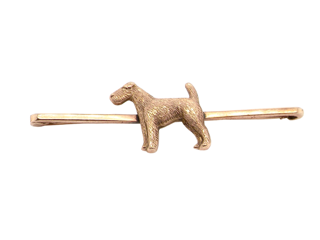 A vintage early 20th century bar brooch. The shape of a dog, possibly an Airdale terrier as the box it is fitted to originates from Falkirk- Scotland