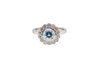 An 18 carat White Gold Aquamarine Diamond Cluster Ring