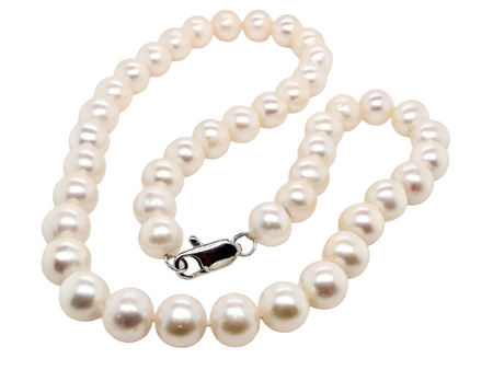 A single row of cultured pearls
