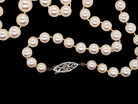  Cultured Pearls