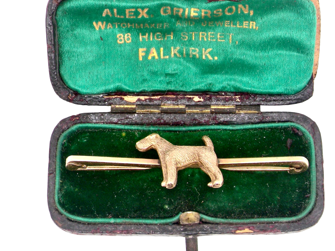 boxed A vintage early 20th century bar brooch. The shape of a dog, possibly an Airdale terrier as the box it is fitted to originates from Falkirk- Scotland