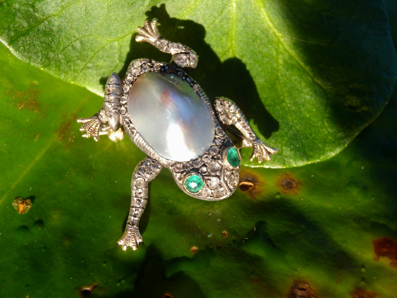 A fine antique Frog Jewellery