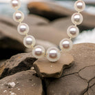 A  row of Cultured Pearls