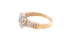 side A modern 9 carat gold cluster ring featuring a round head fully set with nineteen brilliant-cut white diamonds,
