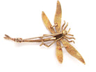 gold dragonfly brooch